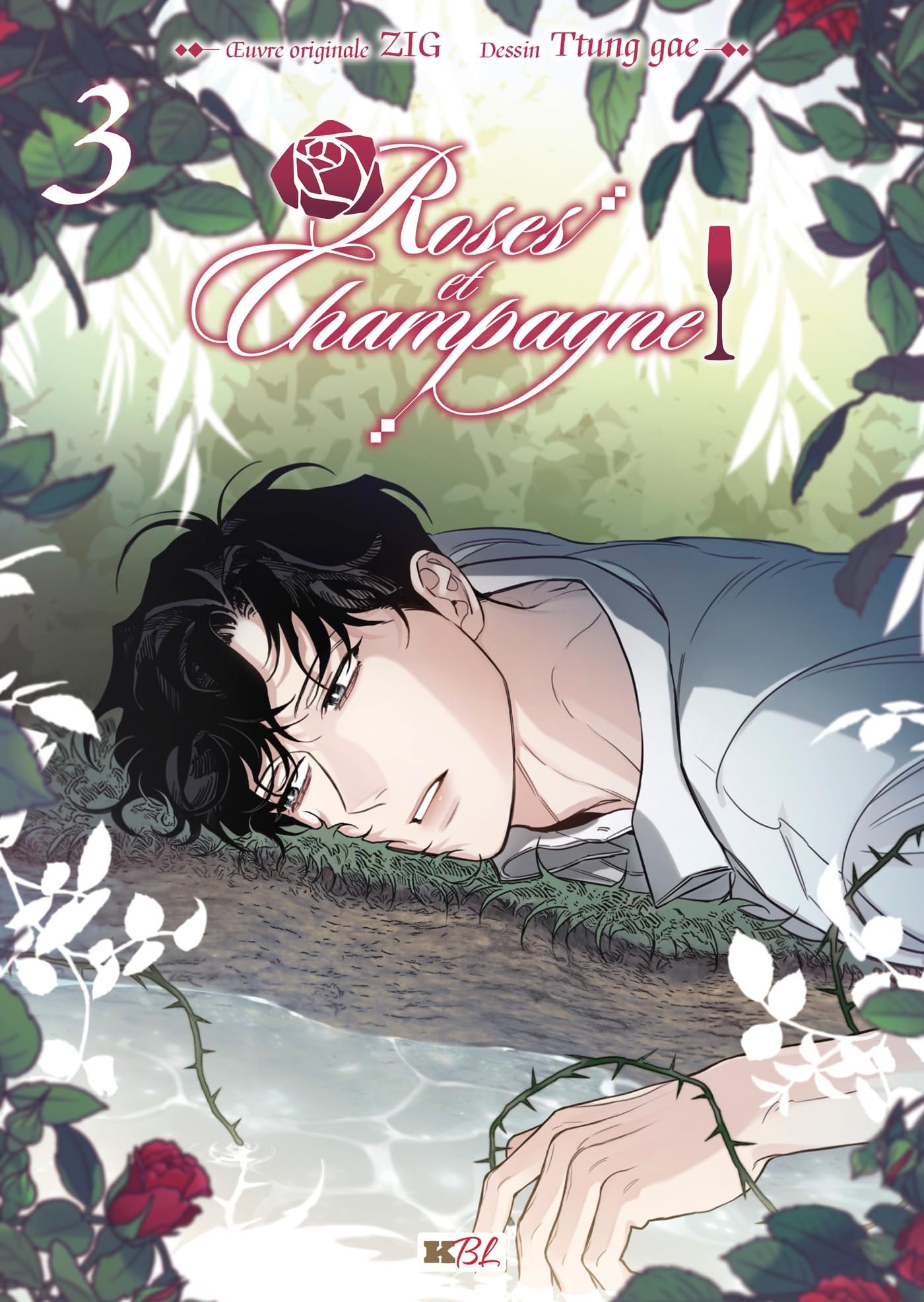 ROSES ET CHAMPAGNE T03 : Zig, Gae, Ttung: Amazon.ca: Books